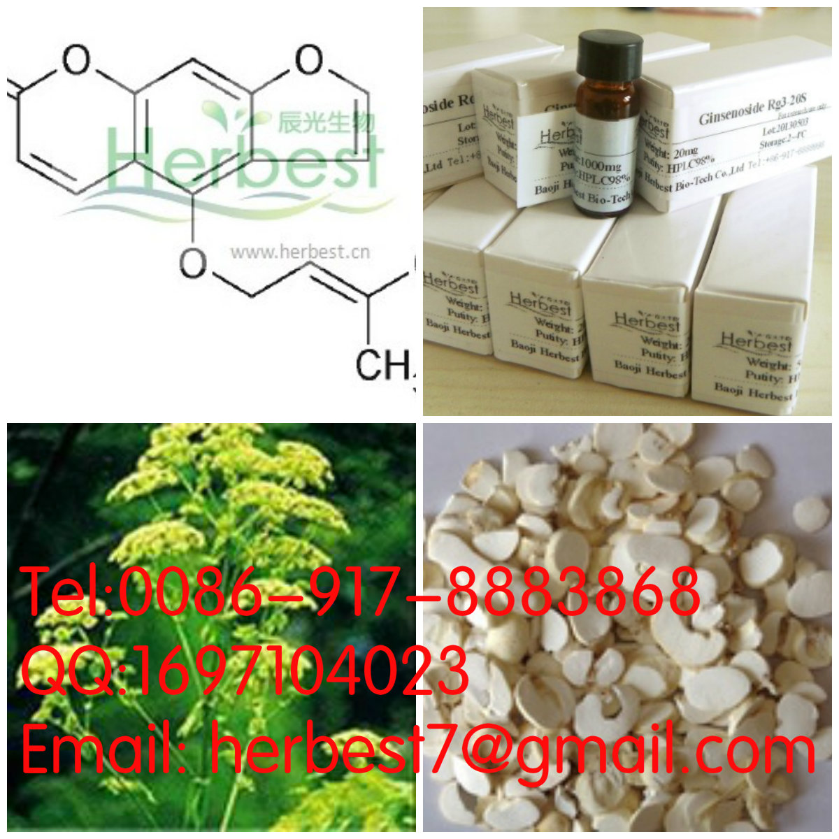 異歐前胡素Iisoimperatorin482-45-1