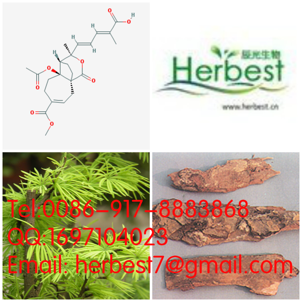 土荊皮乙酸Pseudolaric acid B82508-31-4