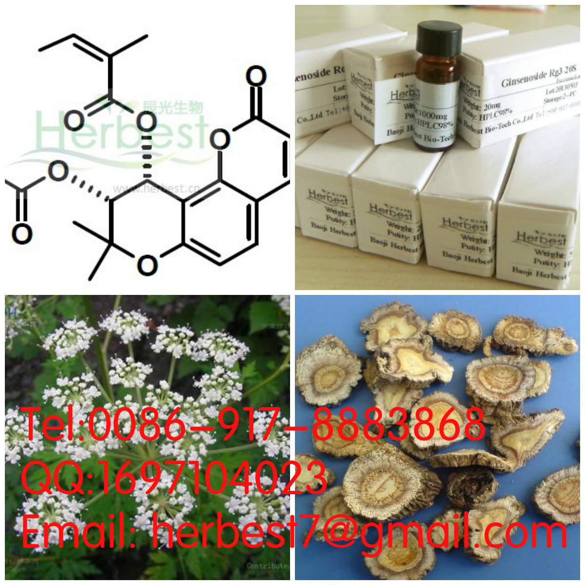 白花前胡乙素 Paeruptorin B81740-07-0