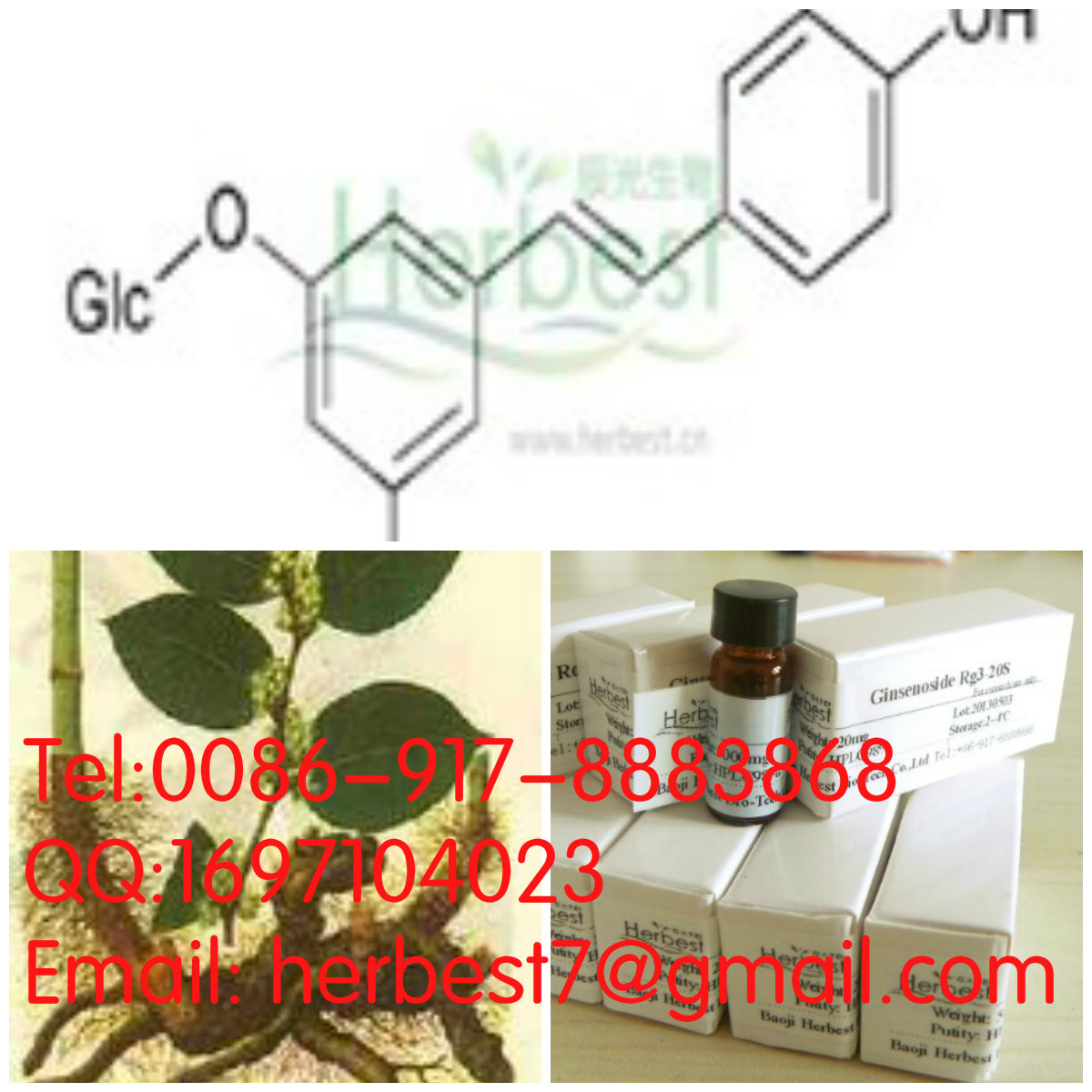 虎杖苷Polydatin27208-80-6