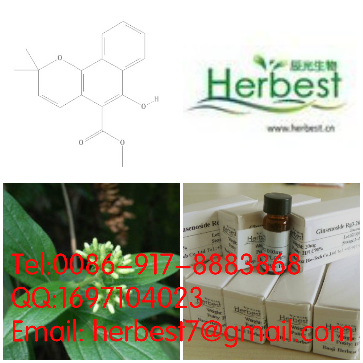 大葉茜草素 Mollugin55481-88-4