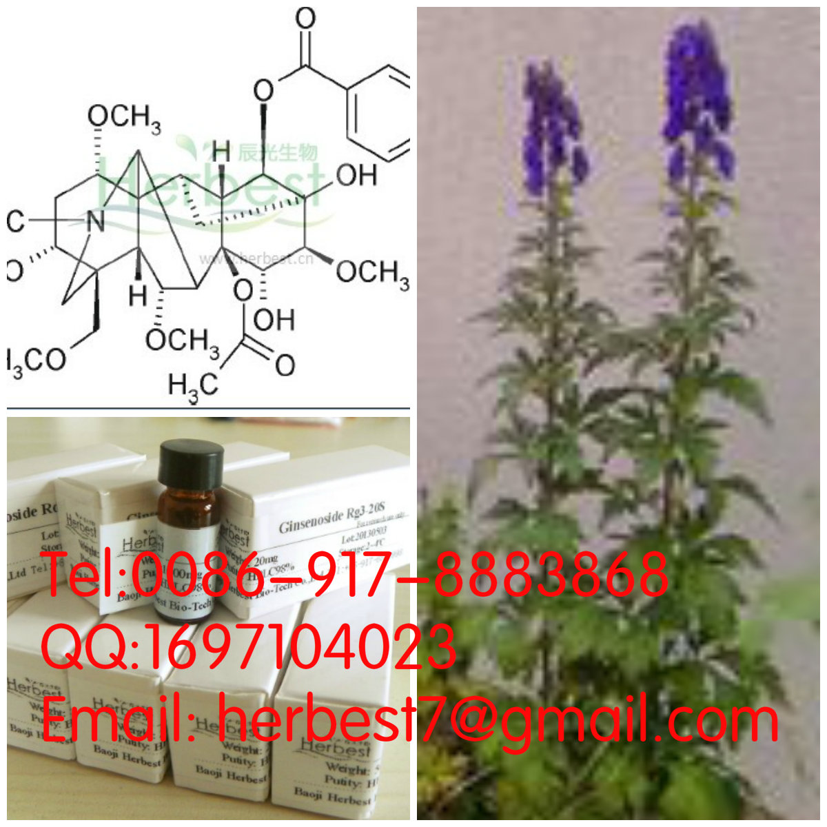 新烏頭堿Mesaconitine2752-64-9