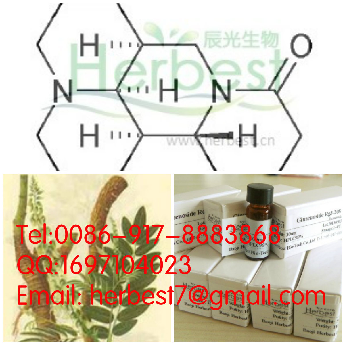 苦參堿 Matrine519-02-8