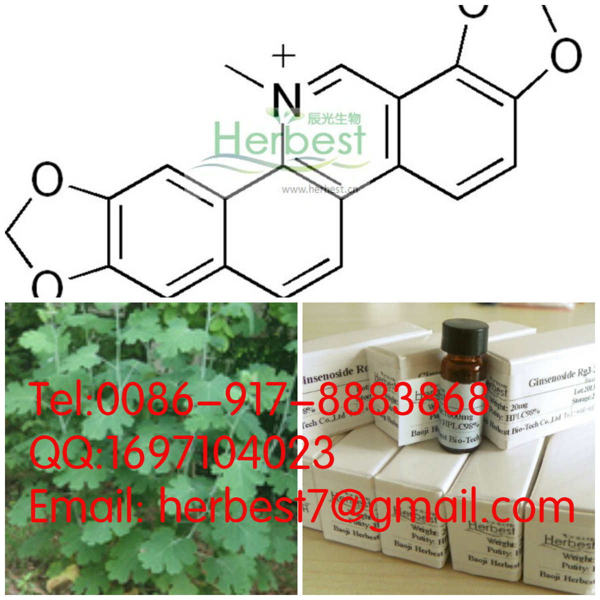 血根堿Sanguinarine2447-54-3