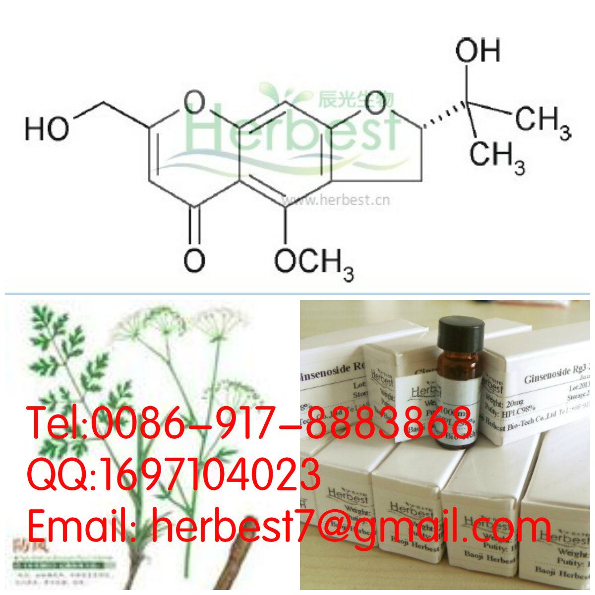 升麻素Cimifugin37921-38-3