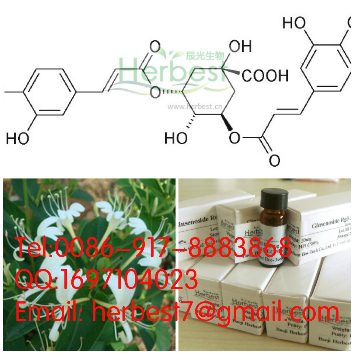異綠原酸A ，BIsochlorogen