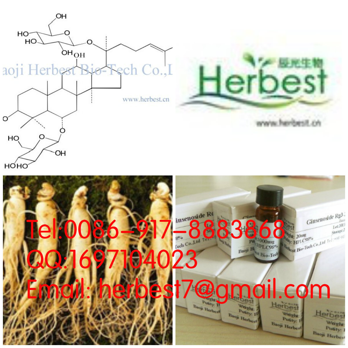 人參皂苷Rg1Ginsenoside Rg122427-39-0