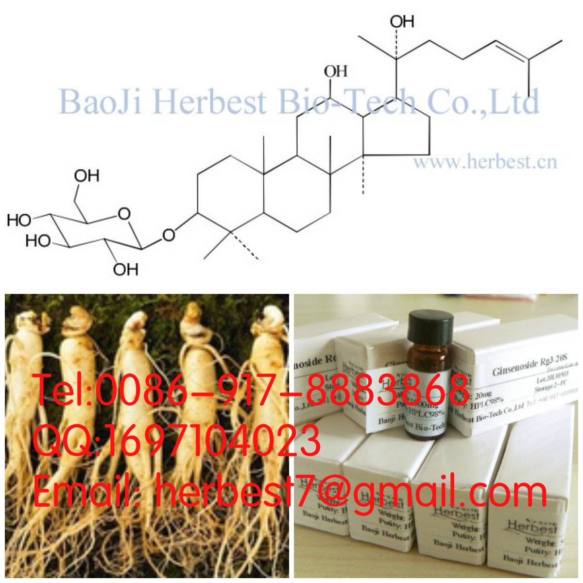 人參皂苷Rh2 Ginsenoside Rh2 78214-33-2