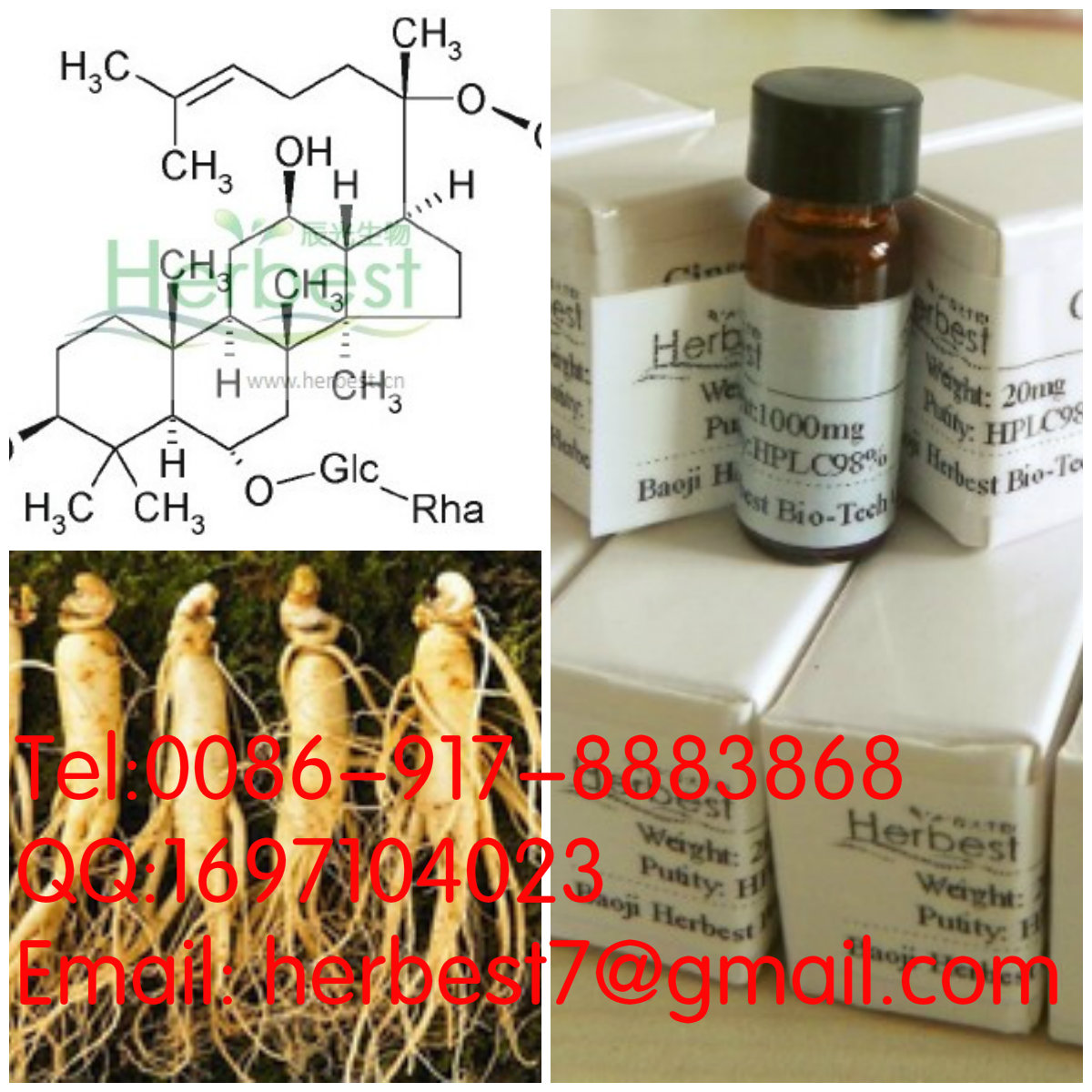 人參皂苷Re Ginsenoside Re52286-59-6