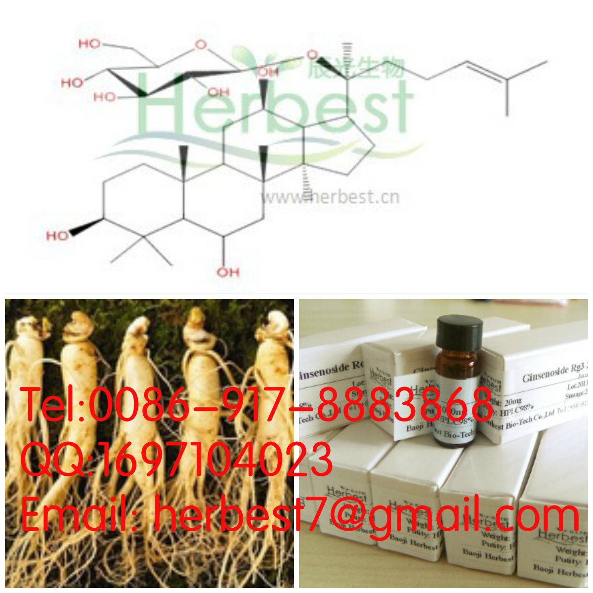 人參皂苷F1 Ginsenoside F1 53963-43-2