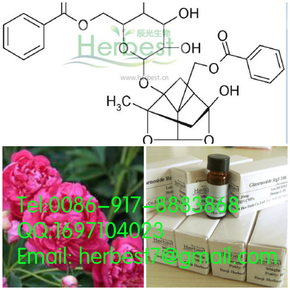 苯甲酰芍藥苷Benzoylpaeoniflorin38642-49-8