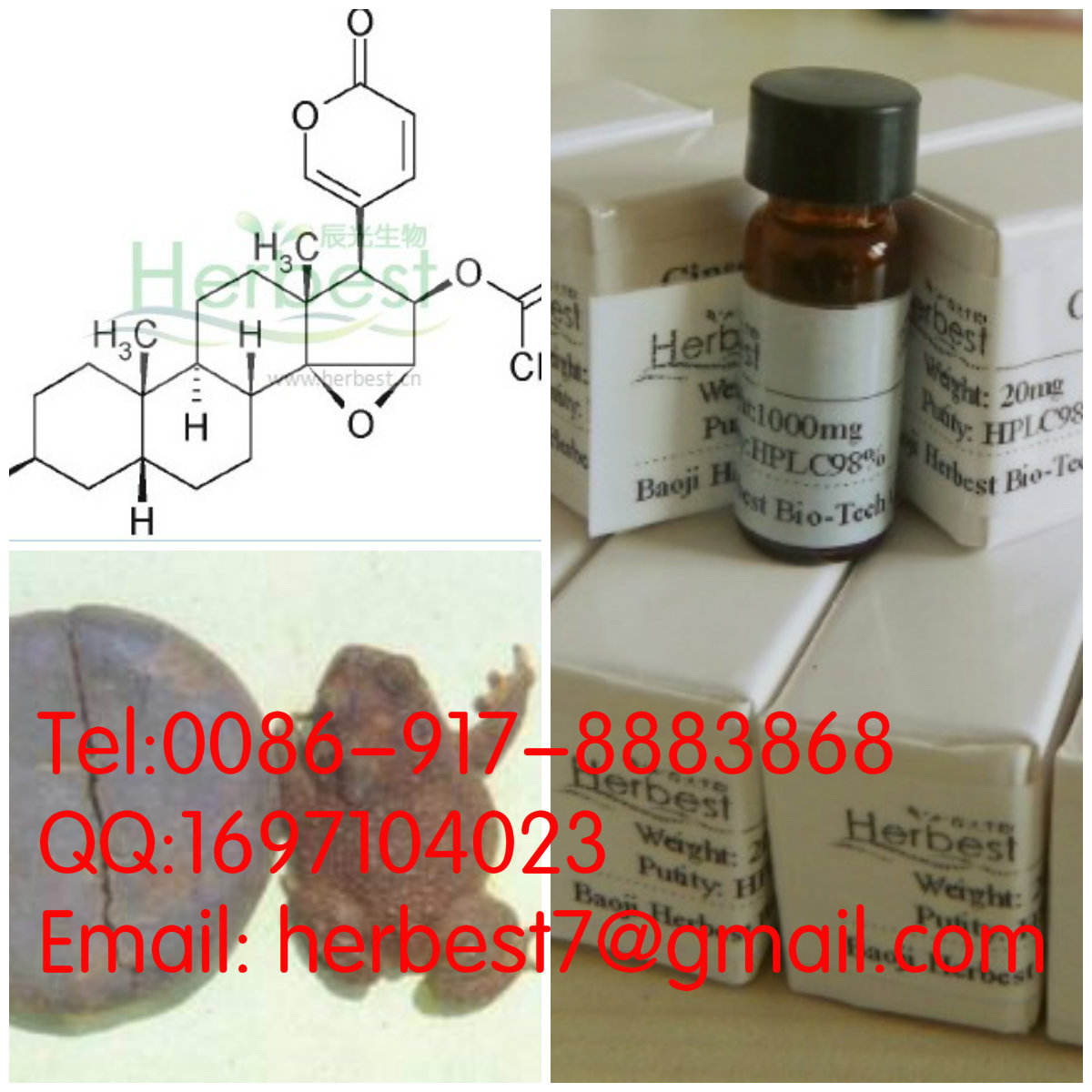 華蟾酥毒基；華蟾毒精Cinobufagin470-37-1