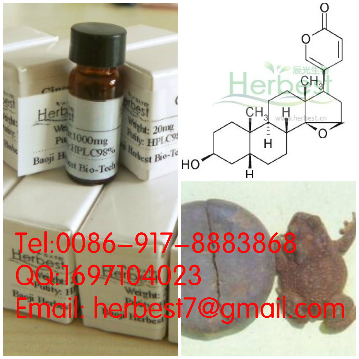 酯蟾毒配基；蟾力蘇Resibufogenin465-39-4