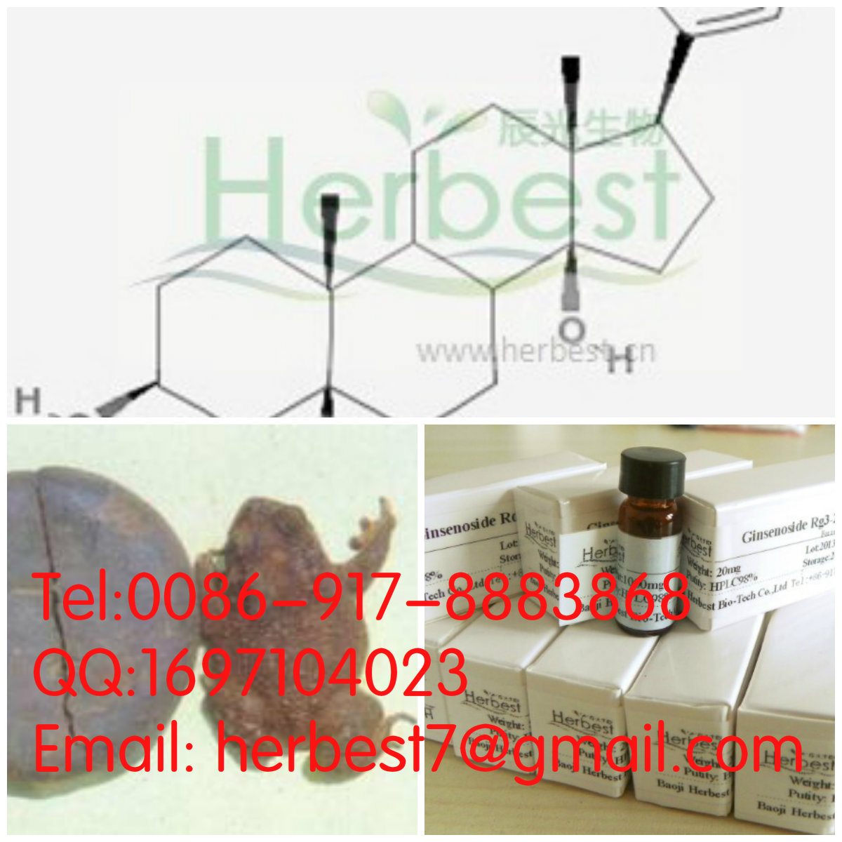 遠(yuǎn)華蟾蜍精Telocinobufagin472-26-4