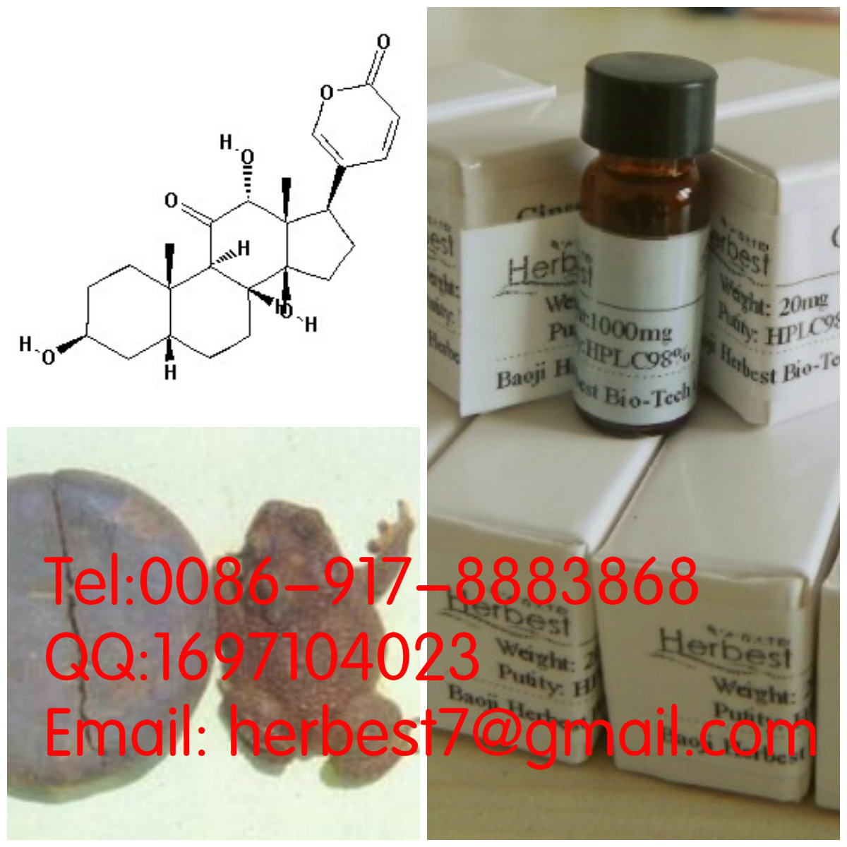 偽異沙蟾毒精bufarenogin17008-65-0