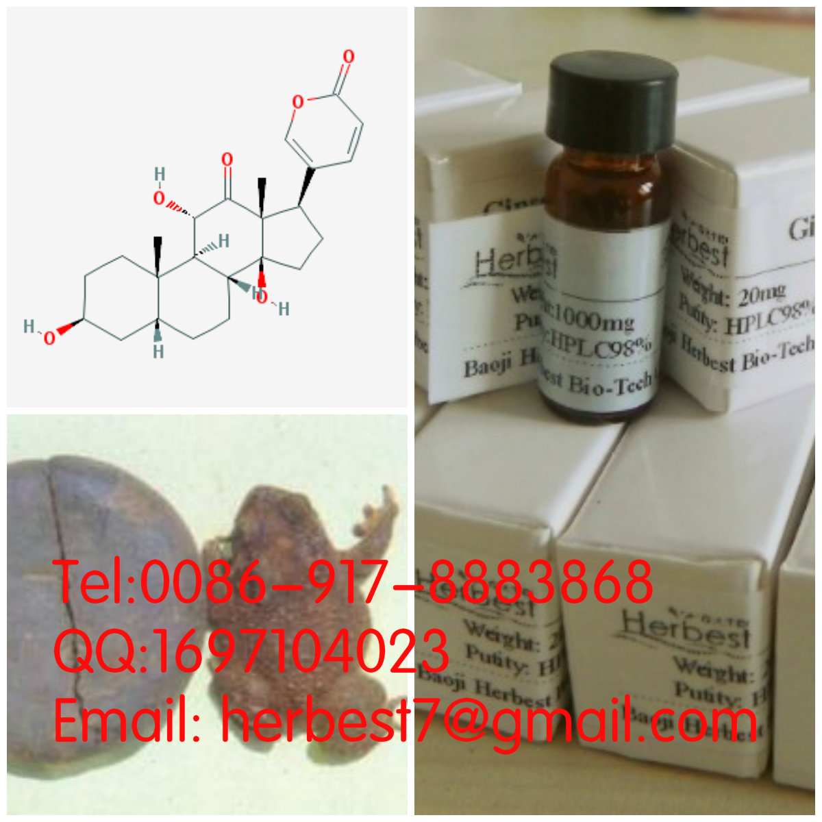 沙蟾毒精Arenobufagin464-74-4