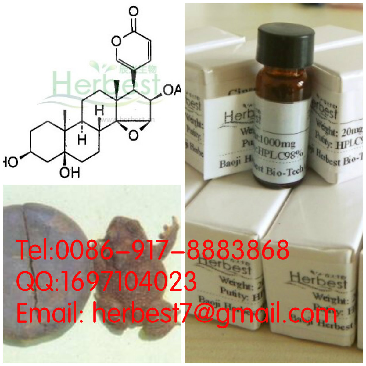 華蟾毒它靈Cinobufotalin1108-68-5