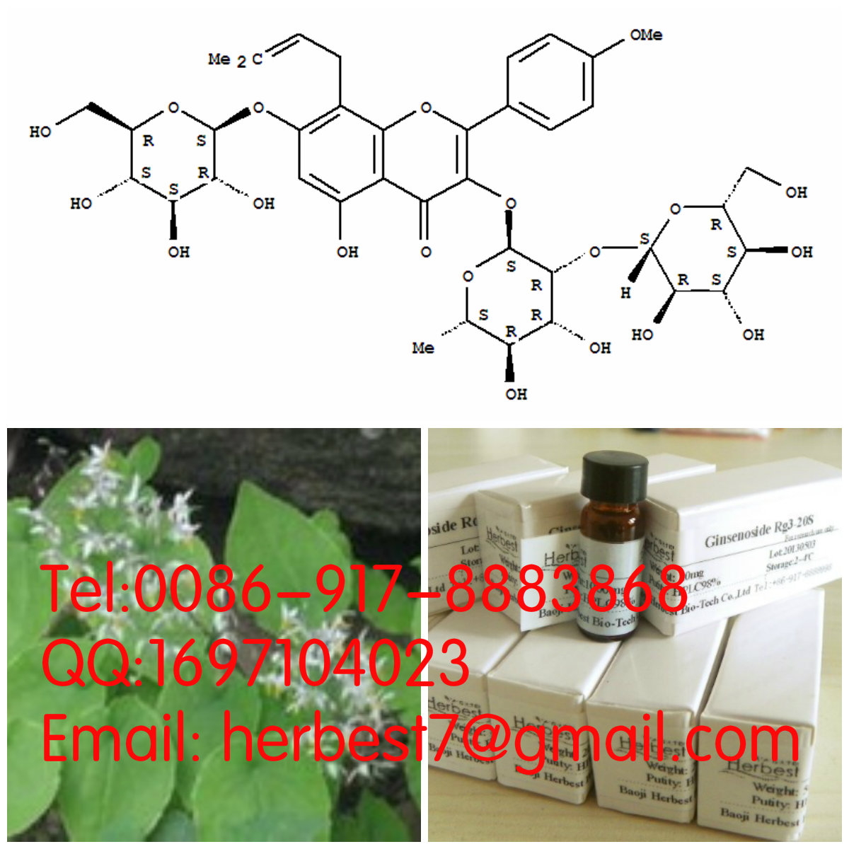 朝藿定A,B,C EpimedinA,B,C