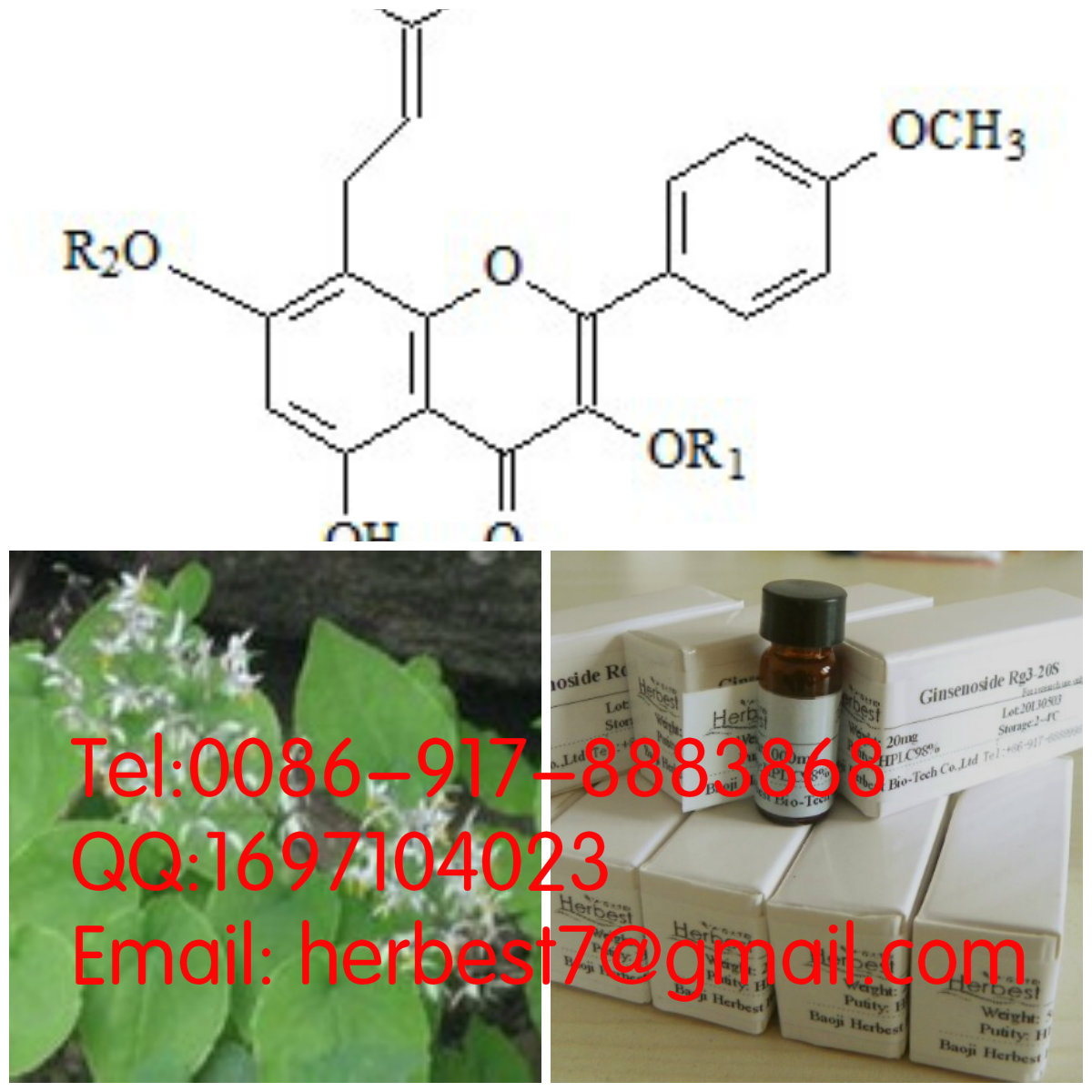鼠李糖基淫羊藿次苷II 2＇＇-O-rhamnosyl icariside II
