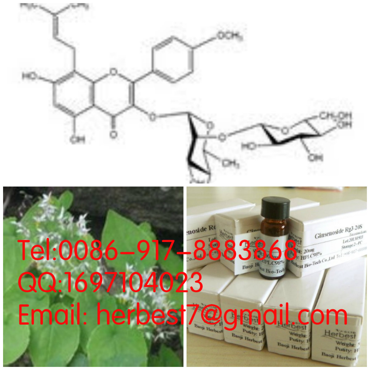 箭藿苷A BSagittatoside