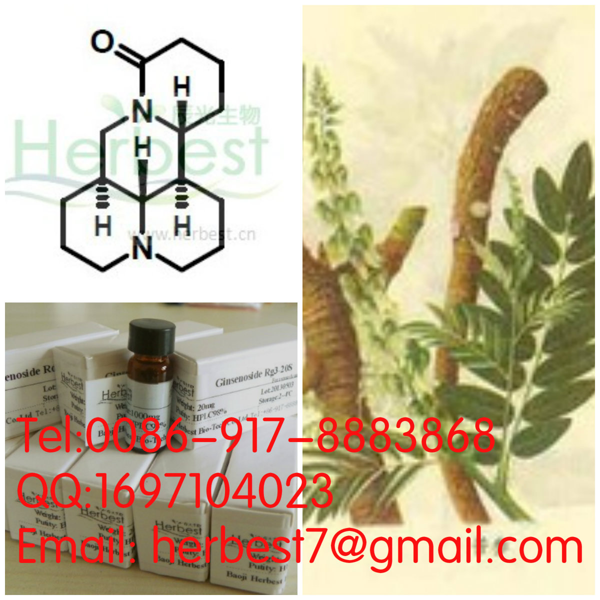 槐定堿Allomatrine641-39