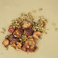 麥芽山楂茶代加工