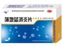 蒲地藍(lán)消炎片