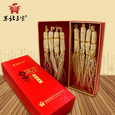 白參全須邊條參8支