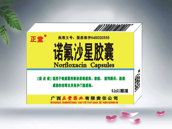 諾氟沙星膠囊