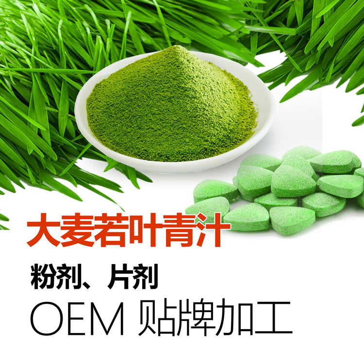 大麥若葉青汁OEM貼牌代加工 大麥青汁粉批發(fā) 供應(yīng)大麥青汁片