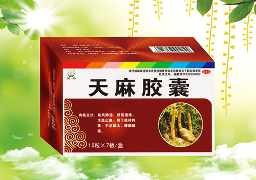 天麻膠囊（新）