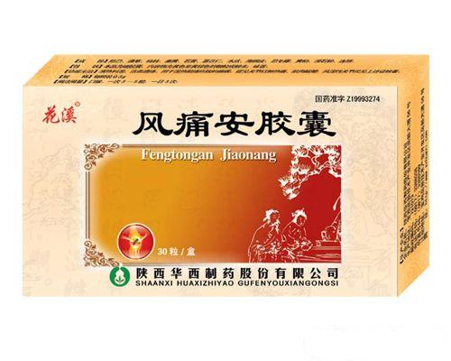 風(fēng)痛安膠囊