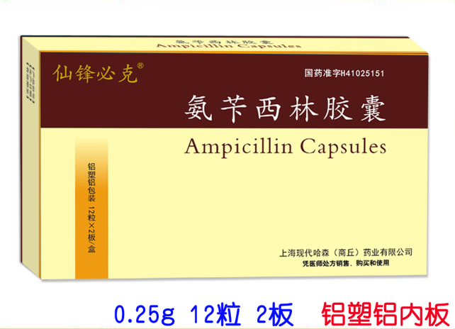 氨芐西林膠囊