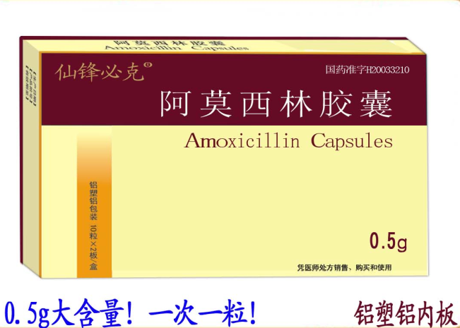 阿莫西林膠囊*力恩普