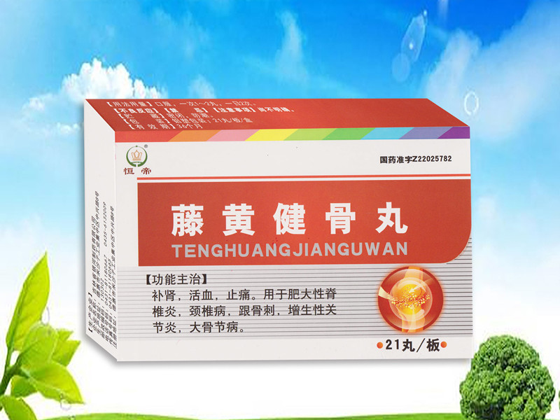 藤黃健骨丸(21丸)
