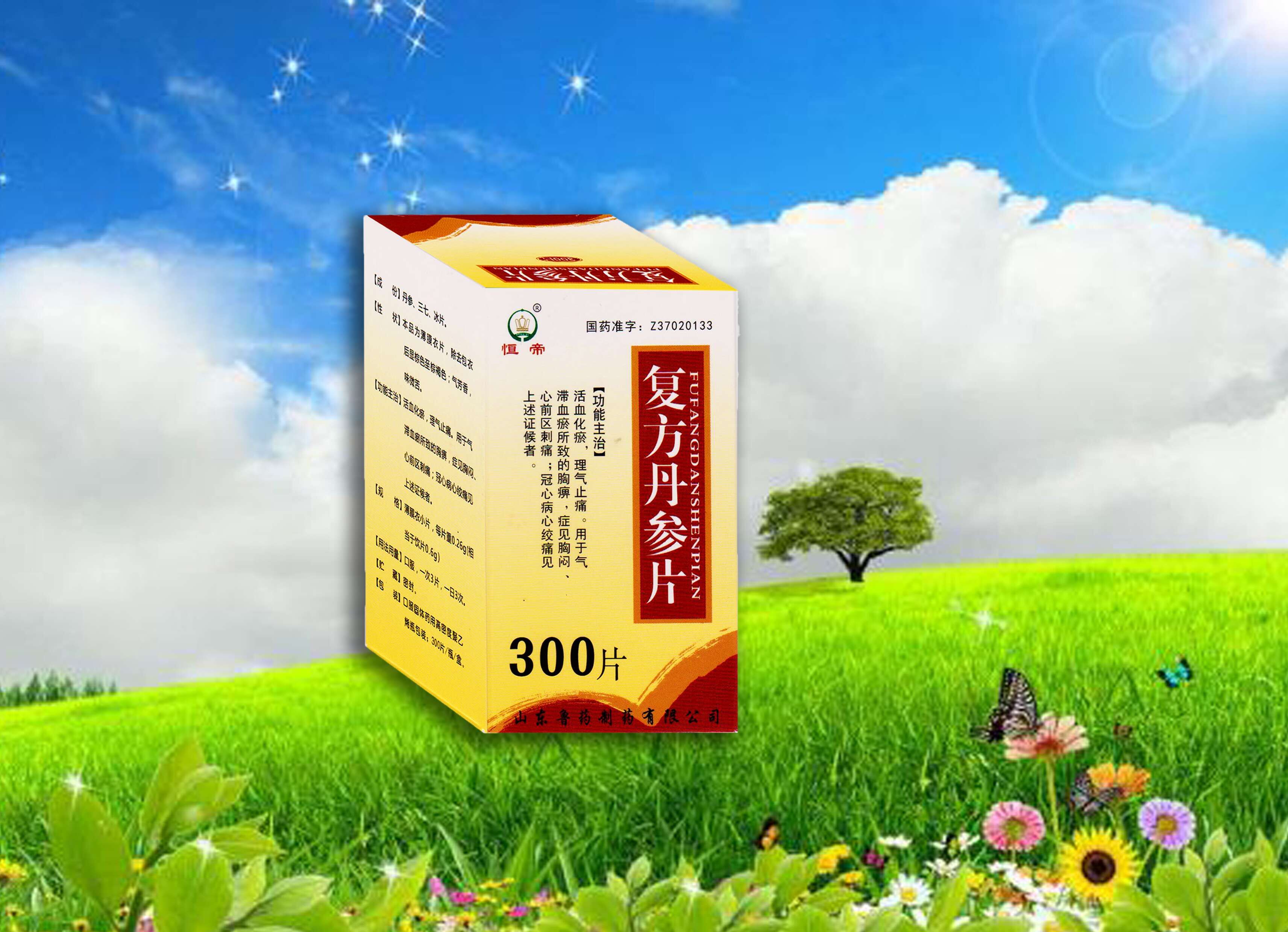 復(fù)方丹參片300片