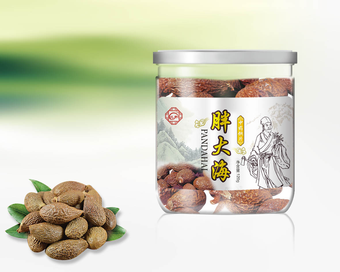 胖大海  中藥飲片