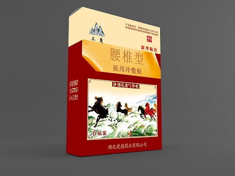 醫(yī)用冷敷貼-腰椎型