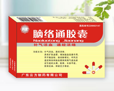 腦絡(luò)通膠囊