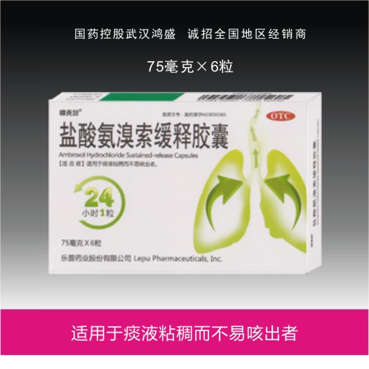 鹽酸氨溴索緩釋膠囊