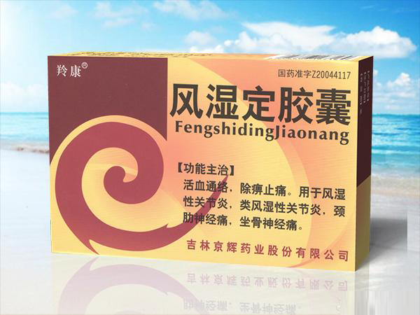 風(fēng)濕定膠囊