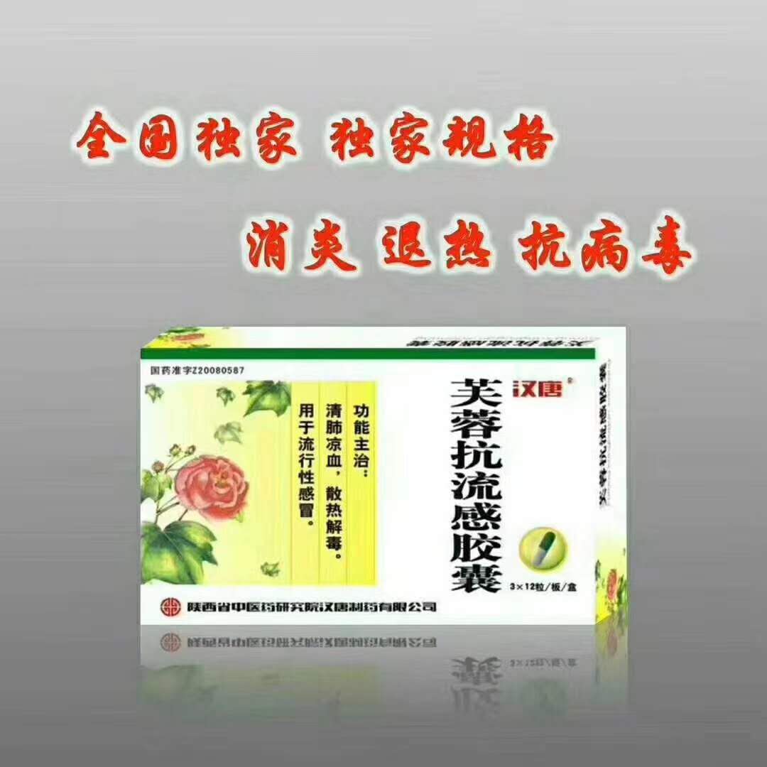 芙蓉抗流感膠囊