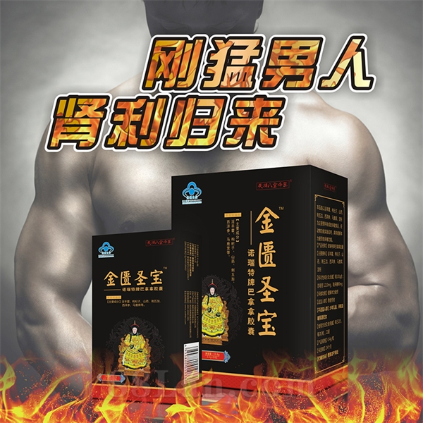 金匱圣寶 補(bǔ)腎溫陽男士專用緩解體力疲勞
