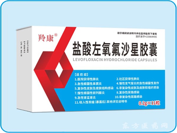 鹽酸左氧氟沙星膠囊