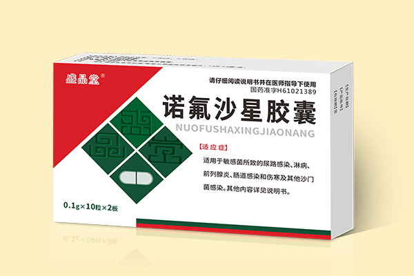 盛品堂 諾氟沙星膠囊