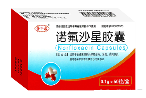 諾氟沙星膠囊