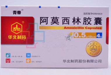 阿莫西林膠囊-