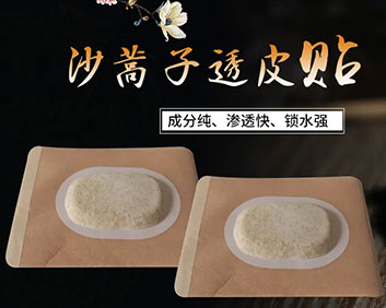 沙蒿子透皮貼