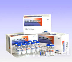 醋酸去氨加壓素注射液