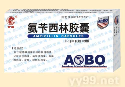 氨芐西林膠囊